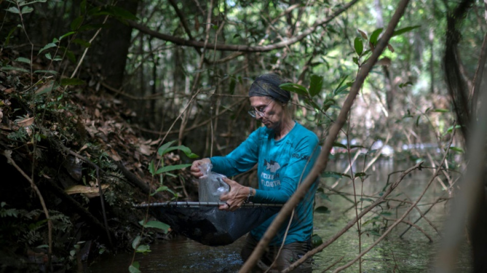 Científicos traban carrera contra el tiempo ante la devastación de la Amazonía