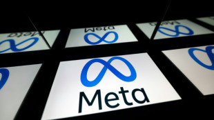 Meta subscriber plan risks digital divide, say critics