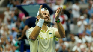 Dimitrov back in US Open last-eight after five years