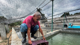 Aquaponia, uma alternativa ante a escassez de pescado em Cuba