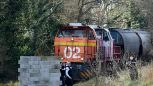 Agro-industrie: "plusieurs plaintes" après le blocage dans le  Morbihan d'un train pour l'alimentation animale