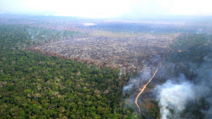 Activists take German government to court over biodiversity