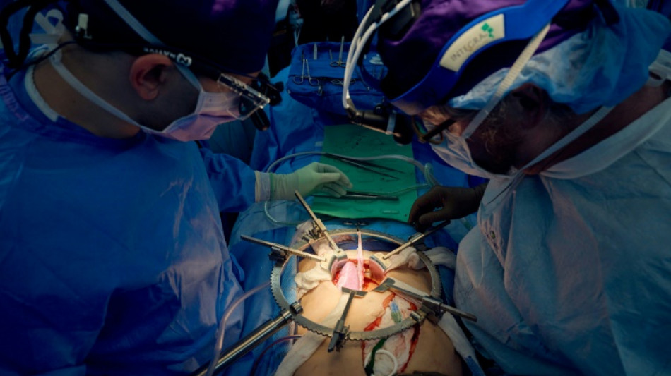 US surgeons report longest successful pig-to-human kidney transplant