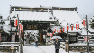 Northern Japan snowed under after two-week whiteout