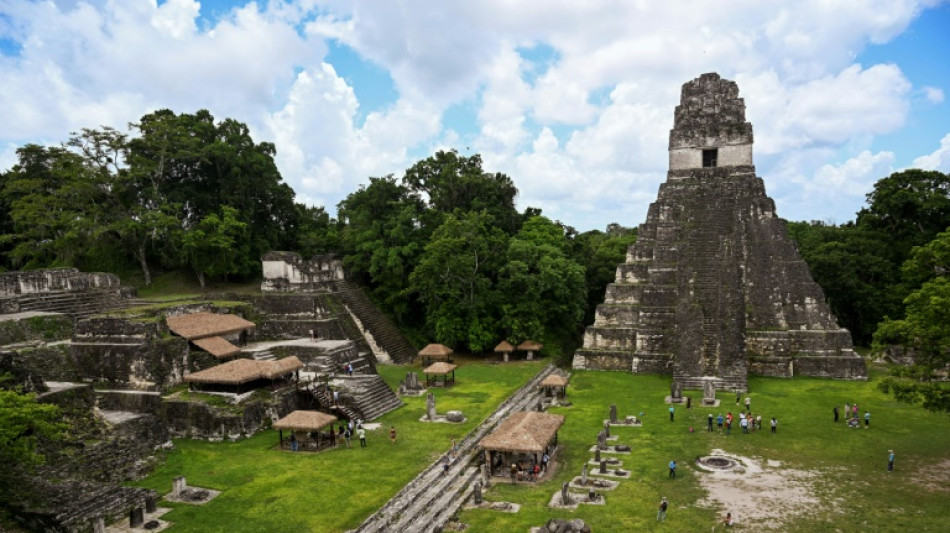 De la Amazonía a la selva maya: Colombia y Guatemala se unen para conservar el bosque