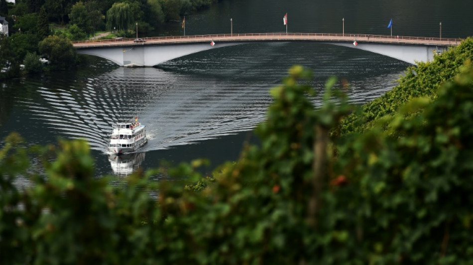 Mosel weist so viele Blaualgen auf wie noch nie