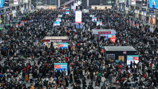 'We can't wait!': Jubilant Chinese head home for Lunar New Year