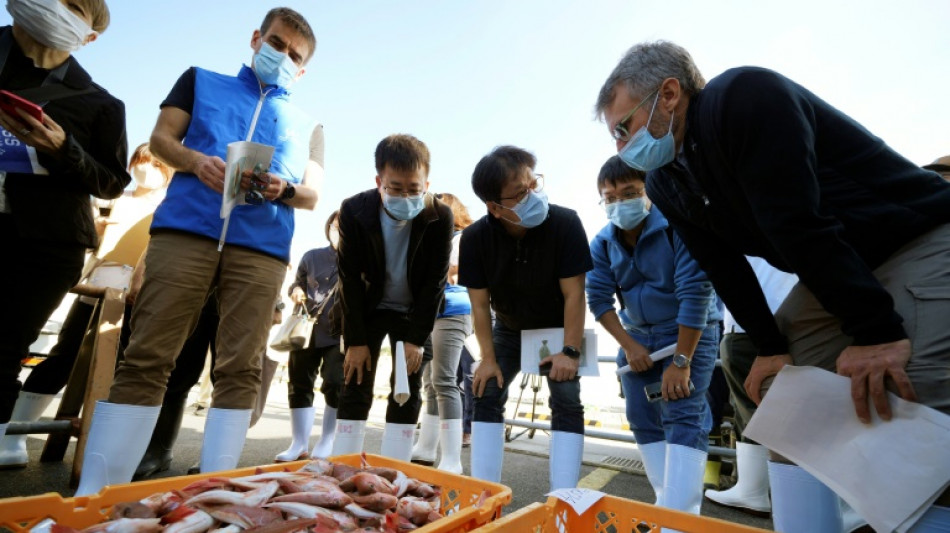 Trotz radioaktivem Wasser: China will wieder Meeresfrüchte aus Japan importieren