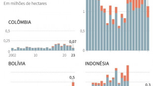 Apesar dos avanços no Brasil, desmatamento se mantém 'obstinadamente' alto no mundo