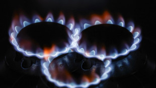 Il gas apre debole ad Amsterdam (-0,1%)