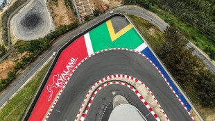 S.Africa bids for first African F1 grand prix in 30 years