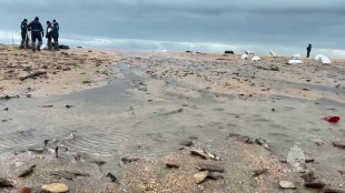 Un derrame ruso de petróleo en el Mar Negro contamina 50 km de playas