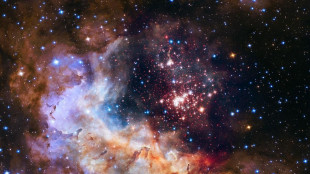 Nel corpo umano atomi reduci da un viaggio intergalattico