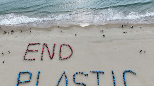 Plastic pollution talks must speed up, chair warns