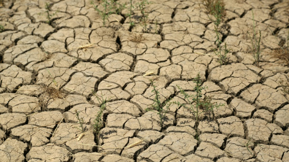 Des marqueurs clés du changement climatique ont battu de nouveaux records en 2021, selon l'ONU