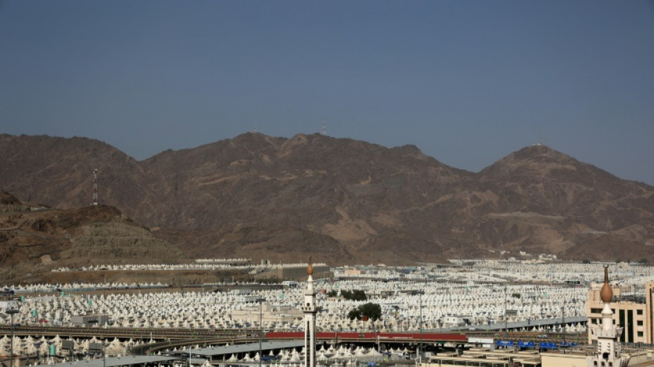 Peregrinos rezan en el Monte Arafat, punto culminante del mayor hach en tiempos del covid-19