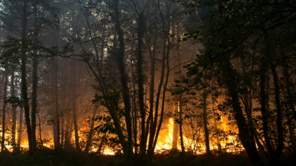 Feu "fixé" ou "maîtrisé"? Glossaire de la lutte contre les incendies