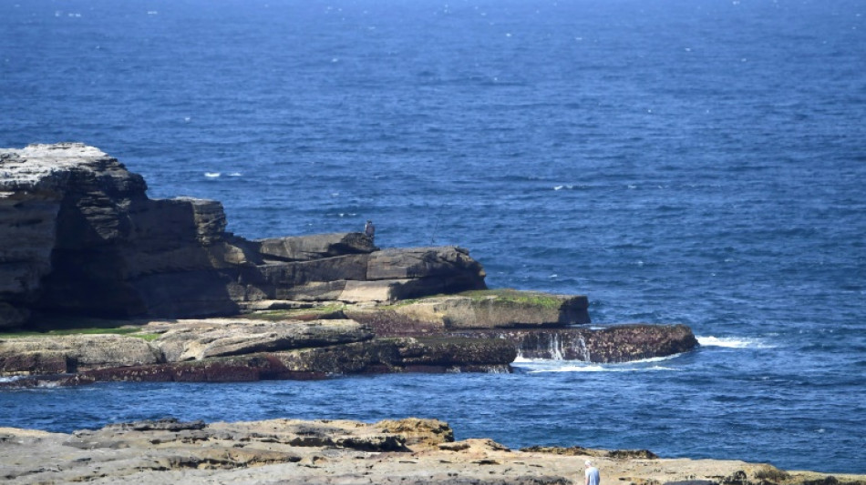 Sydney sucht nach tödlicher Attacke auf Schwimmer nach Weißem Hai