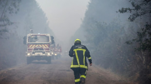 Incendies en Gironde: le tour de France des pompiers appelés en renfort