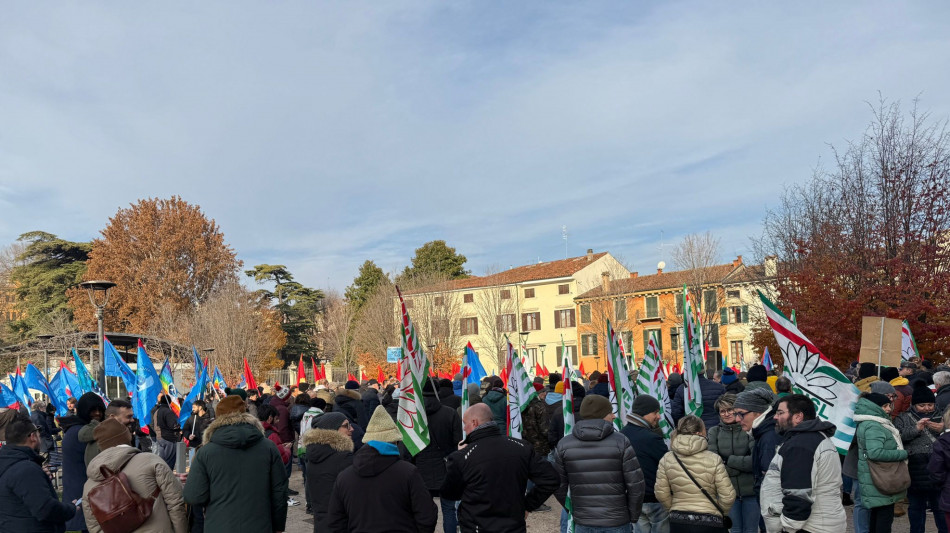 Presidio metalmeccanici davanti a Confindustria Verona