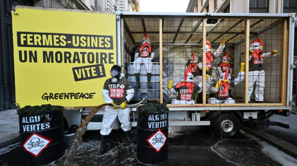 Contre les "fermes-usines", Greenpeace déverse du lisier devant le ministère de l'Agriculture