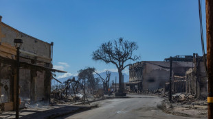 Biden se rendra lundi prochain à Hawaï, endeuillé par des incendies meurtriers