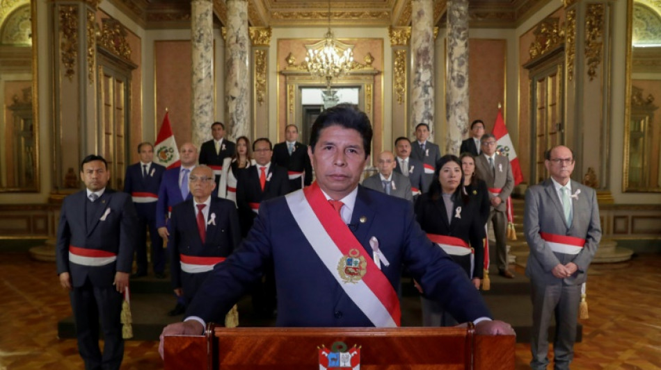 Regional body to discuss Peru political crisis 