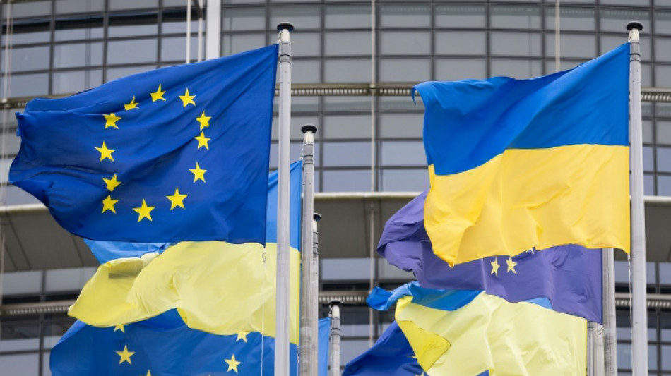 Le Conseil de l'Europe réaffirme son "entier soutien" à l'Ukraine