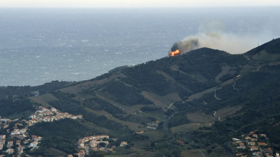 Arden casi 1.000 hectáreas en el sur de Francia, junto a provincia española de Girona