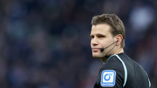 Schiedsrichter Brych vor Rekordspiel