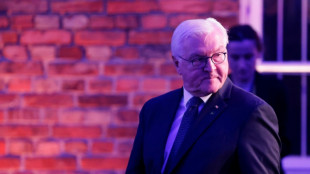 Steinmeier mahnt bei Besuch in Auschwitz zu Mäßigung in Asyldebatte