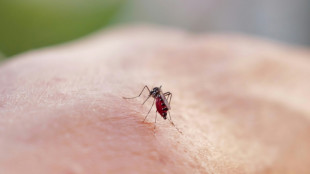 Chikungunya: deux premiers décès confirmés à La Réunion, l'épidémie s'accélère