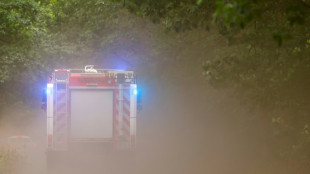 Hunderte Feuerwehrkräfte bei Waldbränden in Brandenburg und Sachsen im Einsatz