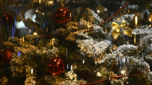 La prime de Noël versée le 17 décembre