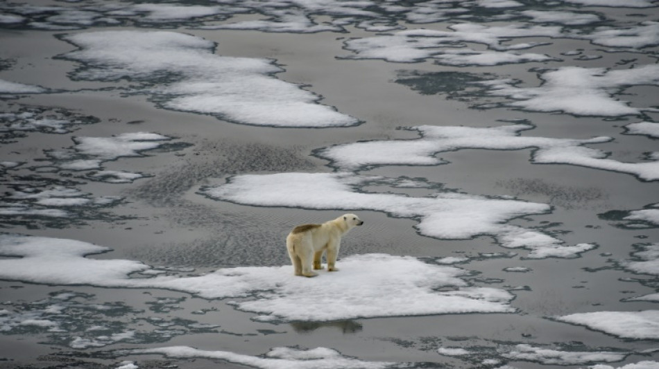 Klimaexperten: 2025 beginnt mit "überraschendem" Wärmerekord