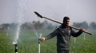 Dans un Irak asséché, l'irrigation moderne pour sauver l'agriculture