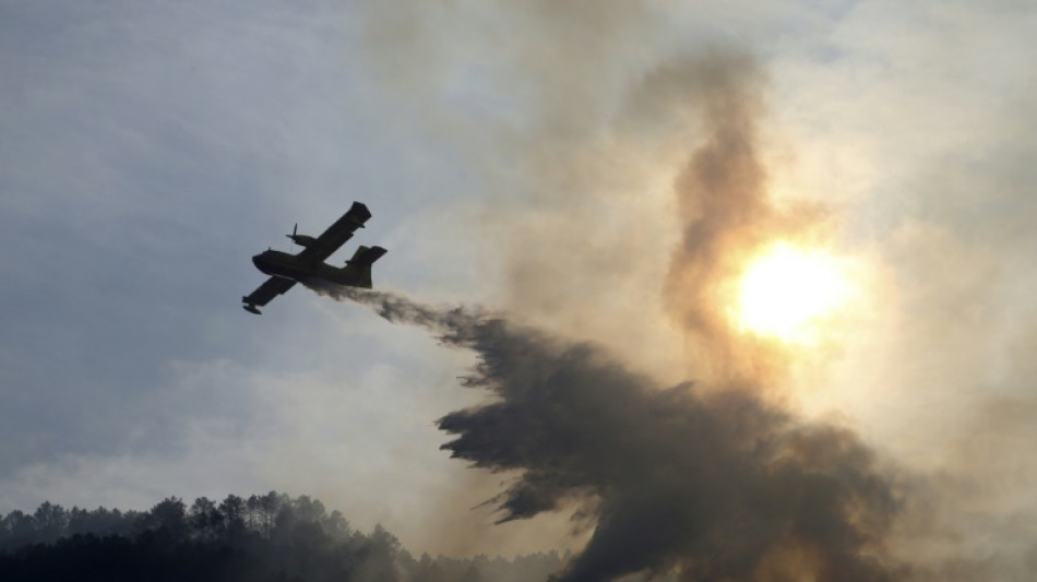 Haute-Corse: l'incendie qui a parcouru "450 hectares" lundi est stable