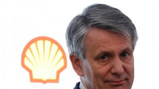 Shell CEO hints energy firms should pay more tax