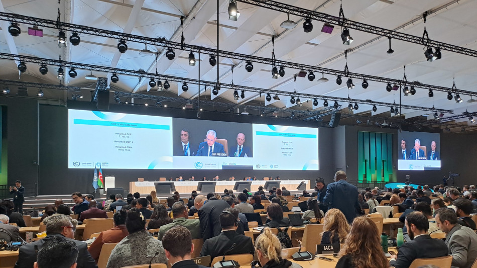 ++ Cop29 approva il mercato internazionale del carbonio ++