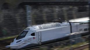 La SNCF victime de son succès et de la pénurie de trains