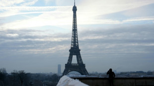 Eiffel Tower topped pre-Covid visitor numbers in 2023