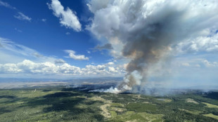 Evacuation de la plus grande ville du Nord canadien en raison des feux de forêt