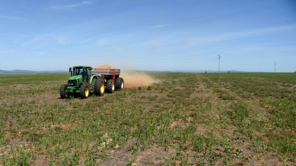 Erzeugerpreise für landwirtschaftliche Produkte steigen im Jahresvergleich