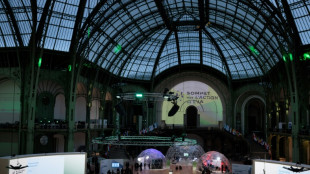 Tapis rouge aux chefs d'Etats et patrons de la tech au sommet IA de Paris