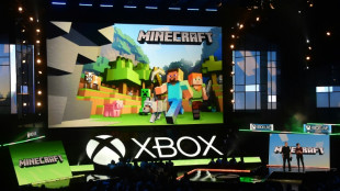 Videospiel "Minecraft" soll in Freizeitparks zum Leben erweckt werden 