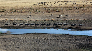 España vivió en 2022 el año más caluroso en más de un siglo