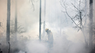 Erneut tausend Menschen bei neuem Aufflammen von Feuer in Südfrankreich evakuiert