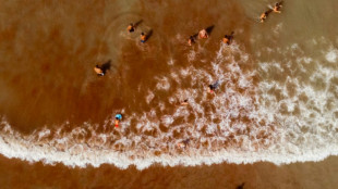 Argentine: "marée rouge" d'algues sur les plages atlantiques