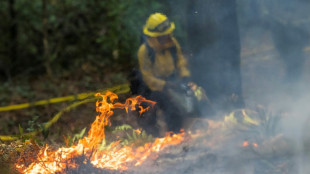 Pour lutter contre les incendies, la Californie combat le feu par le feu