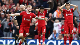 Rejuvenated Liverpool dent Tottenham's Champions League dreams